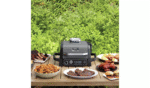 Ninja OG701UK Woodfire Electric BBQ Grill & Smoker - Authentic Woodfire Flavors, Versatile Outdoor Cooking